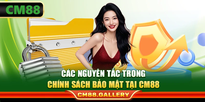 Các nguyên tắc trong chính sách bảo mật tại CM88